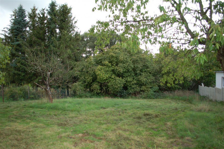 Garten ganz hinten Einfamilienhaus Schildau , Gneisenaustadt