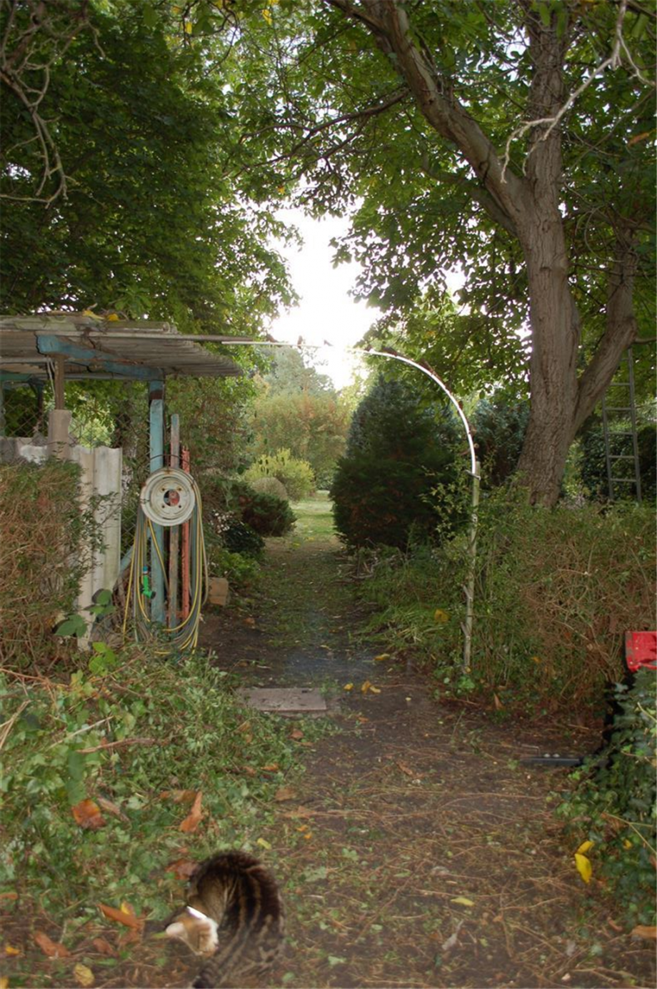 Zuweg zum Garten Einfamilienhaus Schildau , Gneisenaustadt