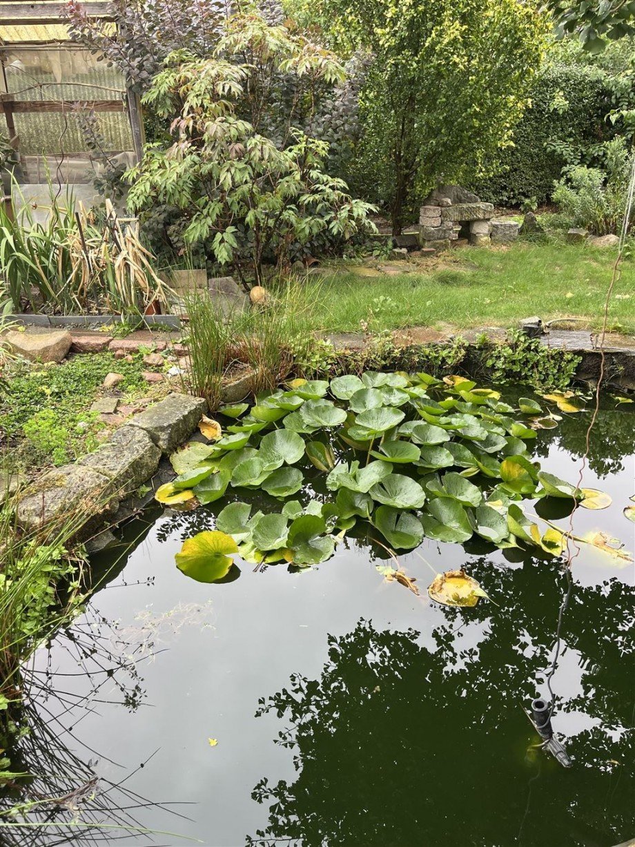 Garten mit Teich Doppelhaush�lfte Zwethau