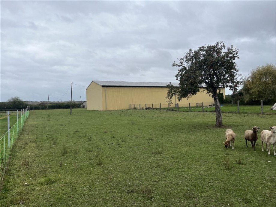 westlicher Blick Wohngrundst�ck Nichtewitz