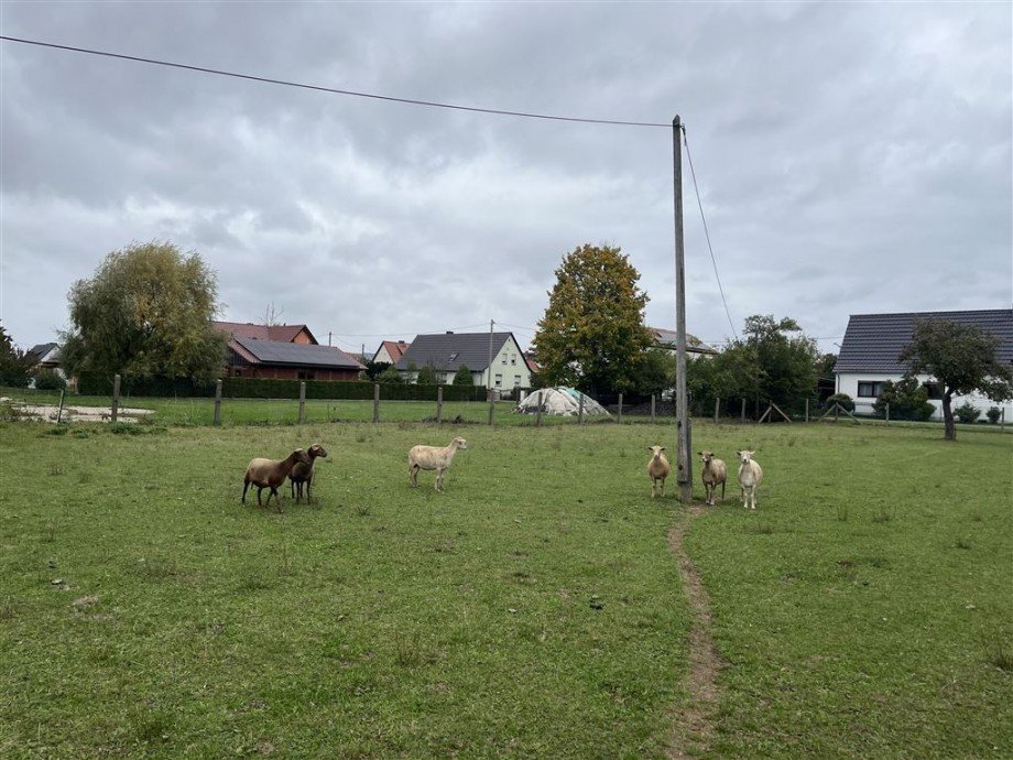 nord�stlicher Blick Wohngrundst�ck Nichtewitz