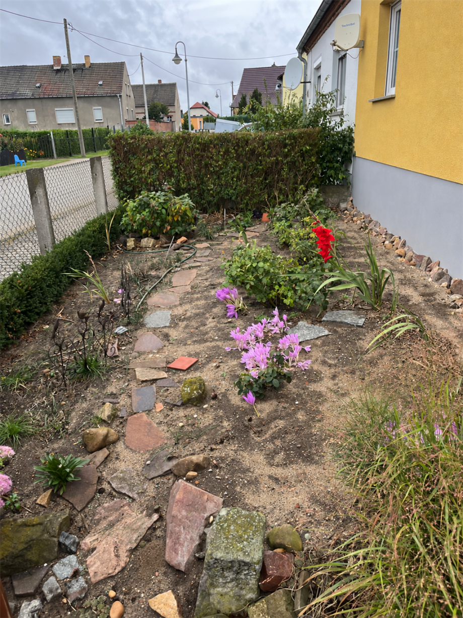 Vorgarten Doppelhaush�lfte Zwethau