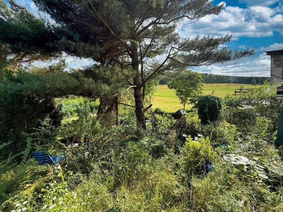 Ausblick Freizeitgrundst�ck Bad Schmiedeberg