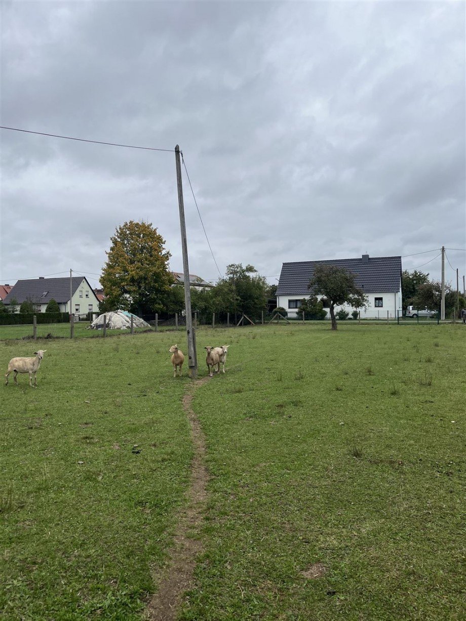 Grundst�ck Wohngrundst�ck Nichtewitz
