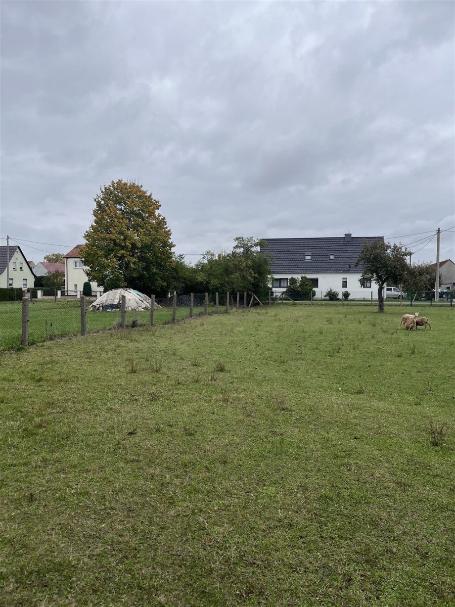 �stlicher Blick Wohngrundst�ck Nichtewitz