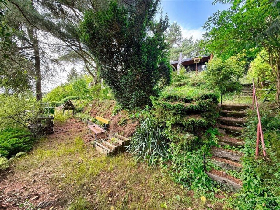 Terrassenfoermiges Grundst�ck Freizeitgrundst�ck Bad Schmiedeberg