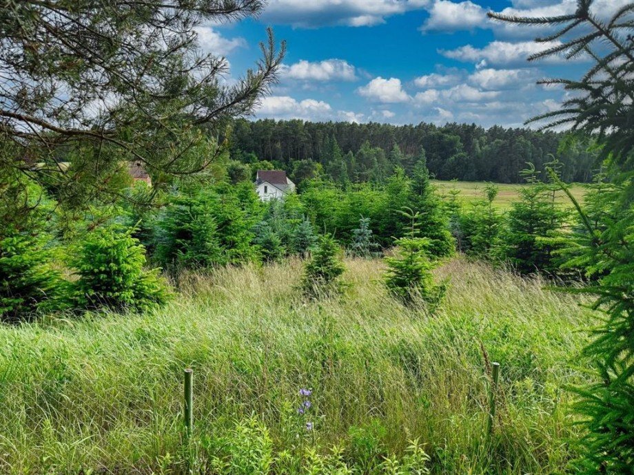 Ausblick Freizeitgrundst�ck Bad Schmiedeberg