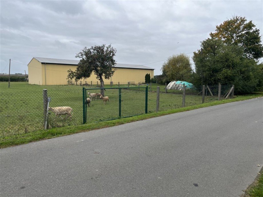 Ansicht von Stra�e Wohngrundst�ck Nichtewitz