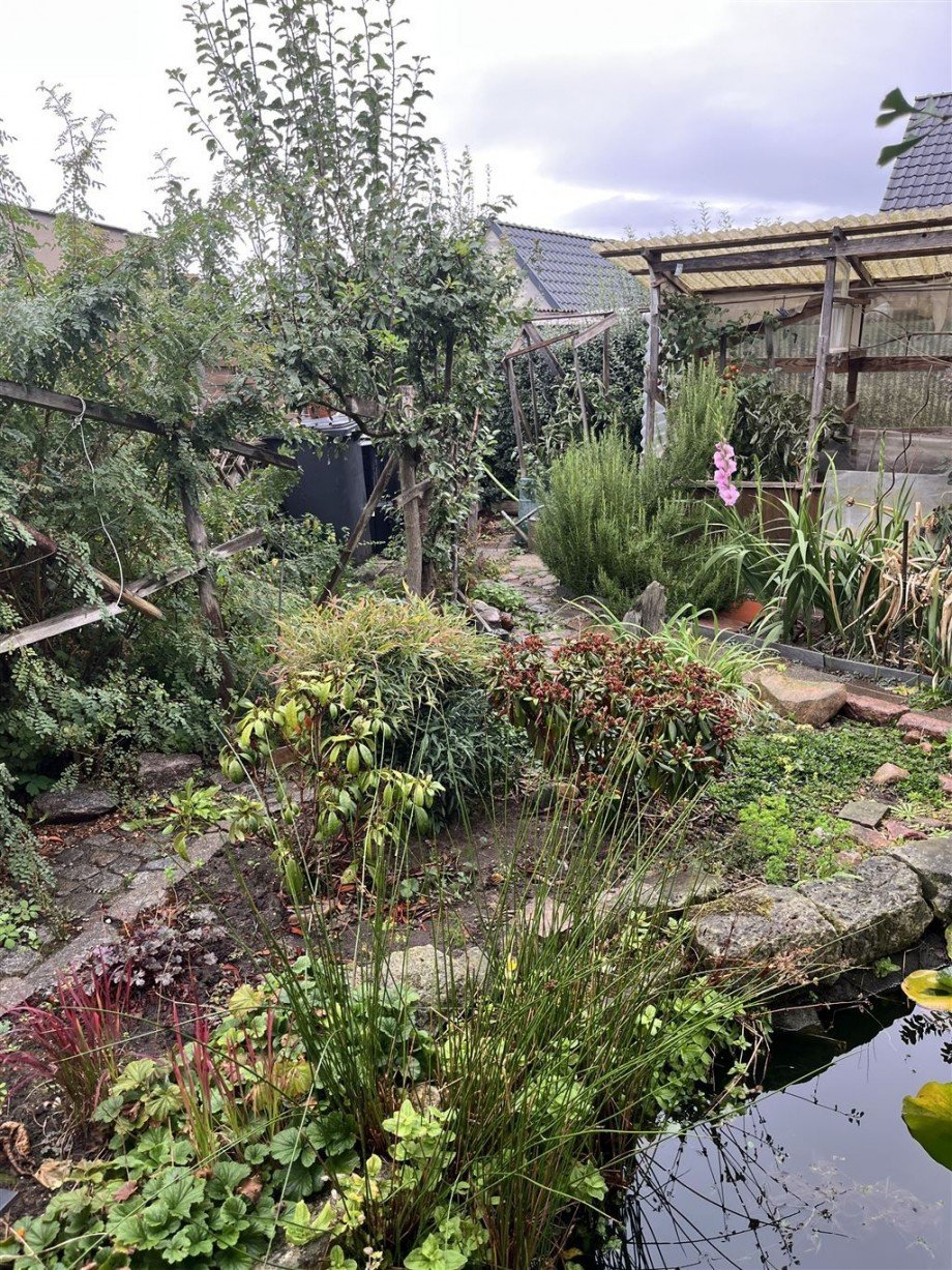 Garten Doppelhaush�lfte Zwethau