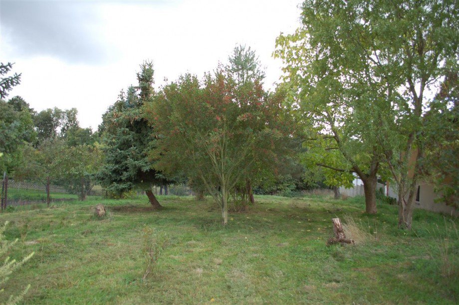 Garten Einfamilienhaus Schildau , Gneisenaustadt