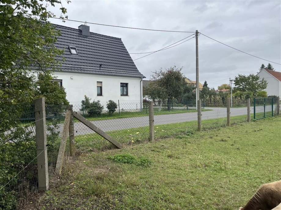 Blick zur Stra�e (�stlich) Wohngrundst�ck Nichtewitz